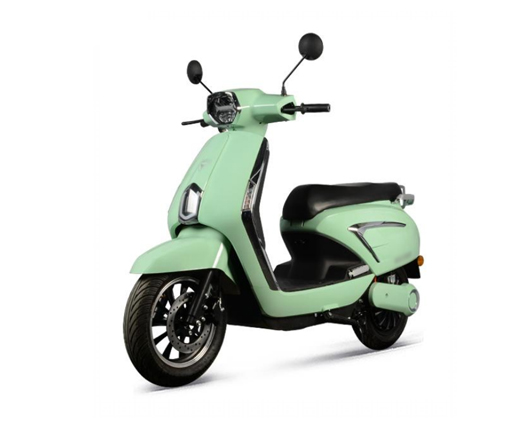 Female two-wheeled electric vehicle