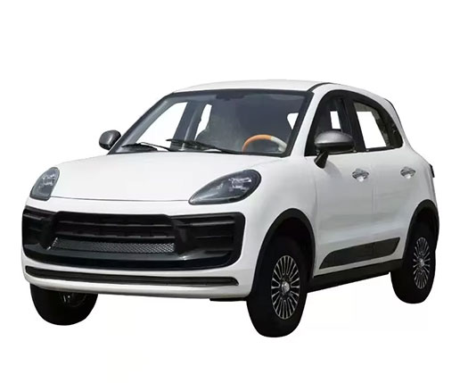 Mini -Cayenne